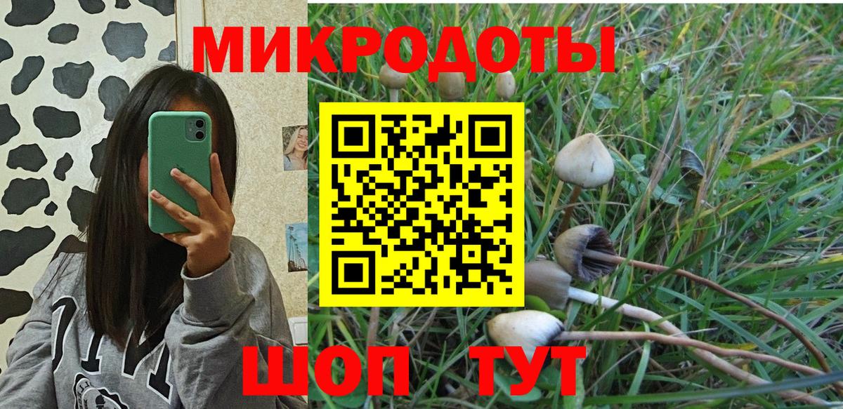 Орёл  Псилоцибиновые грибы прущие грибы  Галлюциногенные грибы мицелий  Вход с VPN 